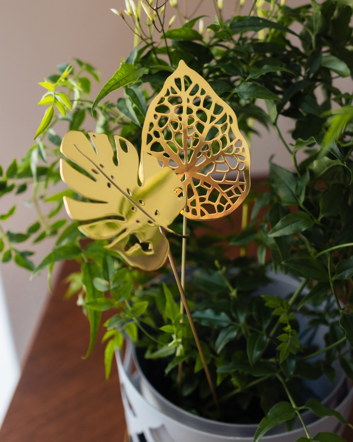 Klong-Brass-Leaves-Metallblad-2-pack-24434-2