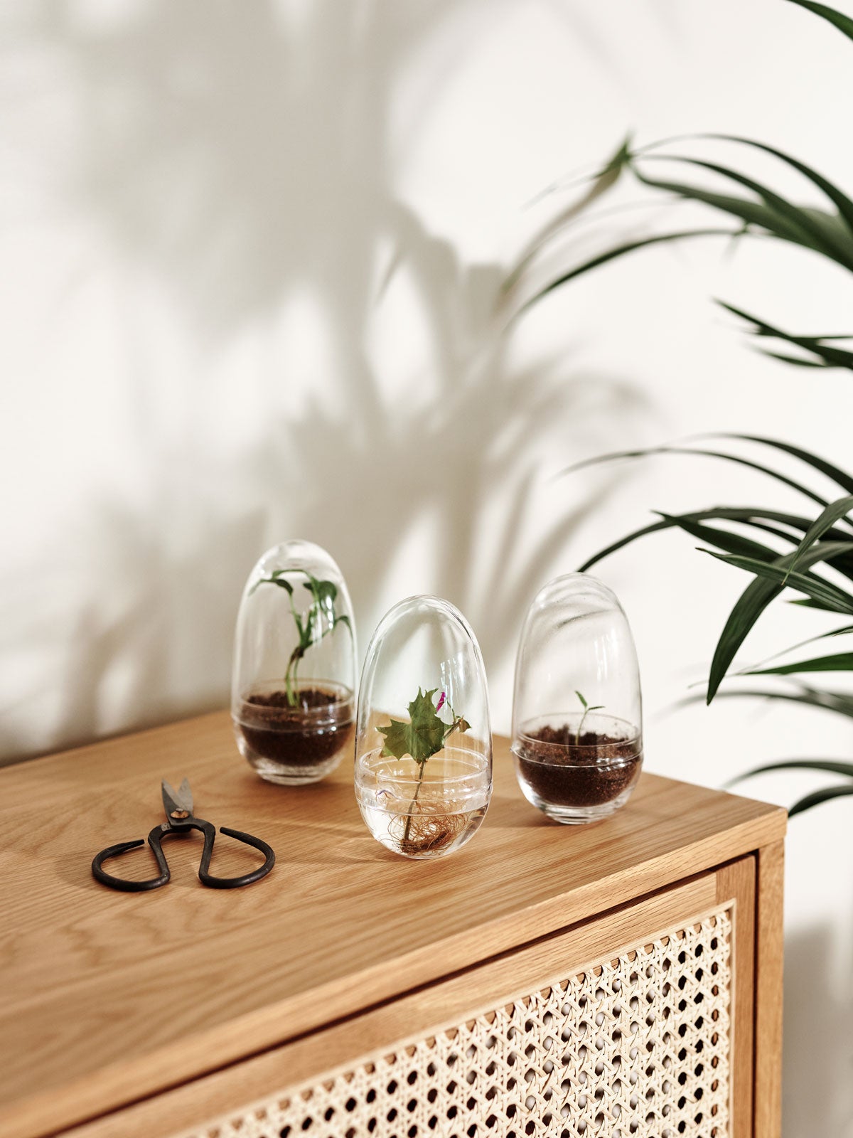 Grow-Greenhouse-Small-Miljo