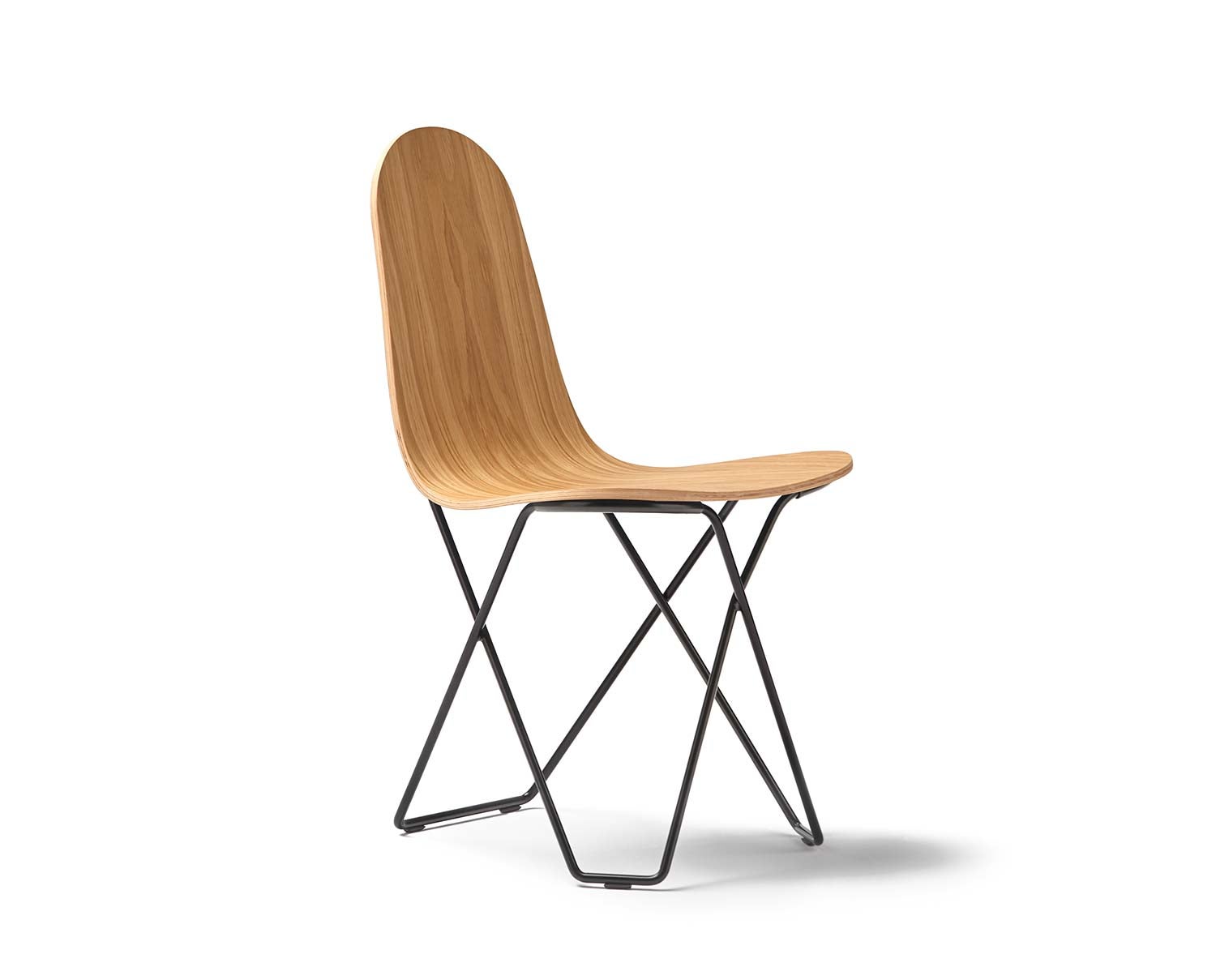 cactus-wood-1-Cuero