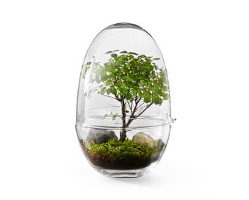 Grow-Greenhouse-Large